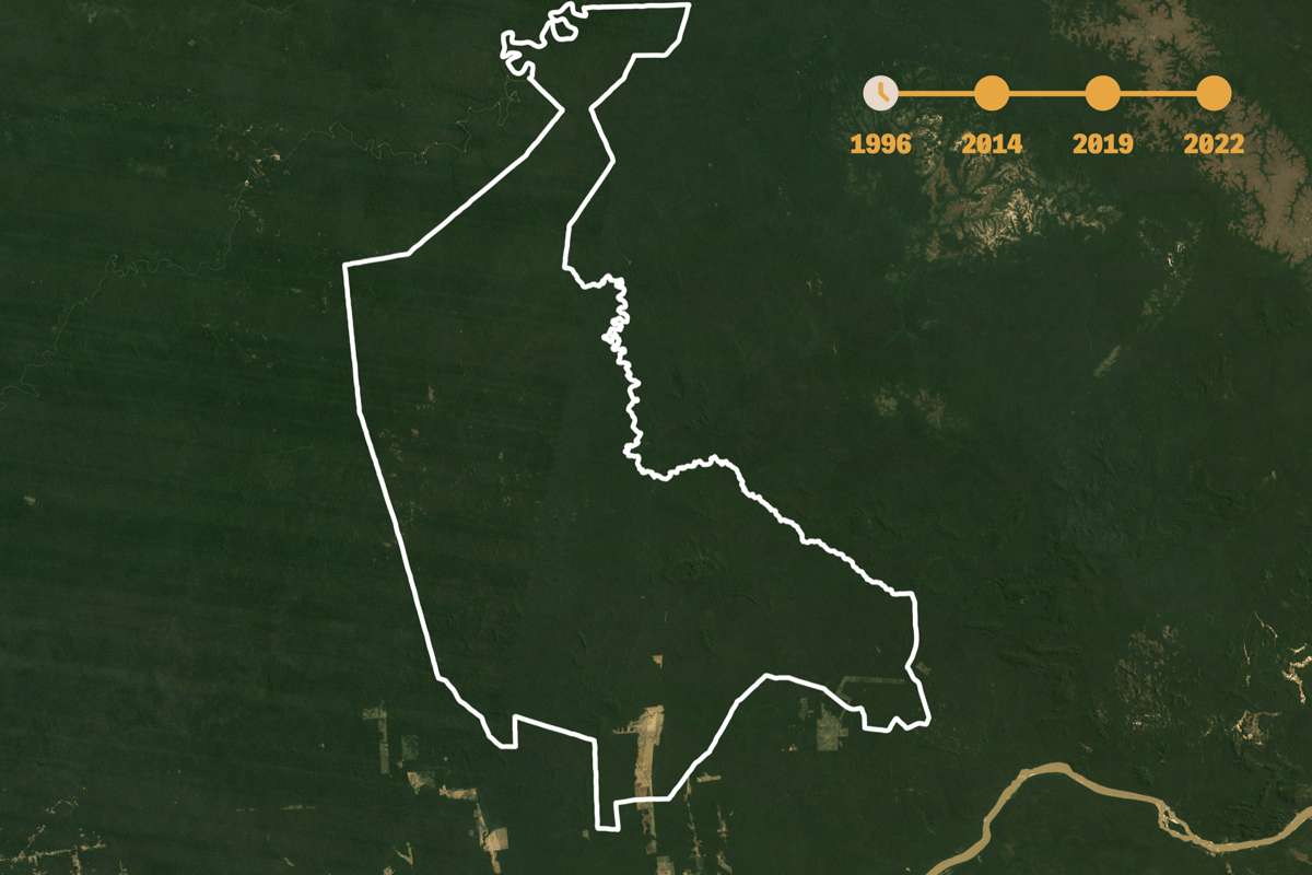 Com Bolsonaro, Ministério do Meio Ambiente abriu mão de área na Amazônia onde madeireiros derrubaram 45 mil caminhões de árvores