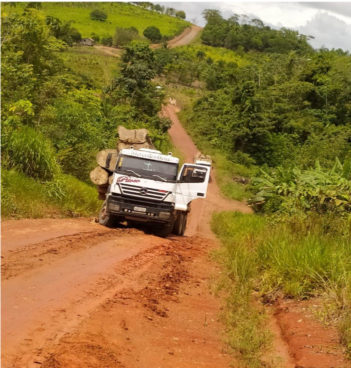 Caminhão da madeireira RRX transportando toras. Foto: Reprodução