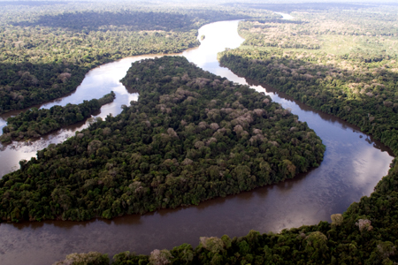 Vista aérea da Floresta Nacional de Altamira. Foto: WWF-Brasil/Alex Silveira