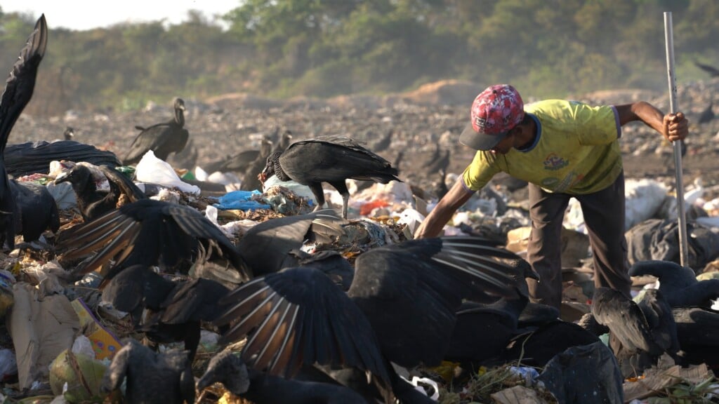 Trabalhadores da reciclagem. Foto: Giuliano Bianco/ Diuvlgação Papel Social.