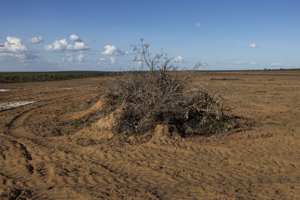 Área recém desmatada de cerrado na divisa com a Estação Ecológica Serra Geral do Tocantins, na região do Jalapão. Foto: Lalo de Almeida/Folhapress.