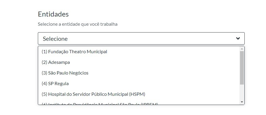 Parte do formulário incluía lista de entidades para servidor dizer onde trabalhava (Crédito: Reprodução)