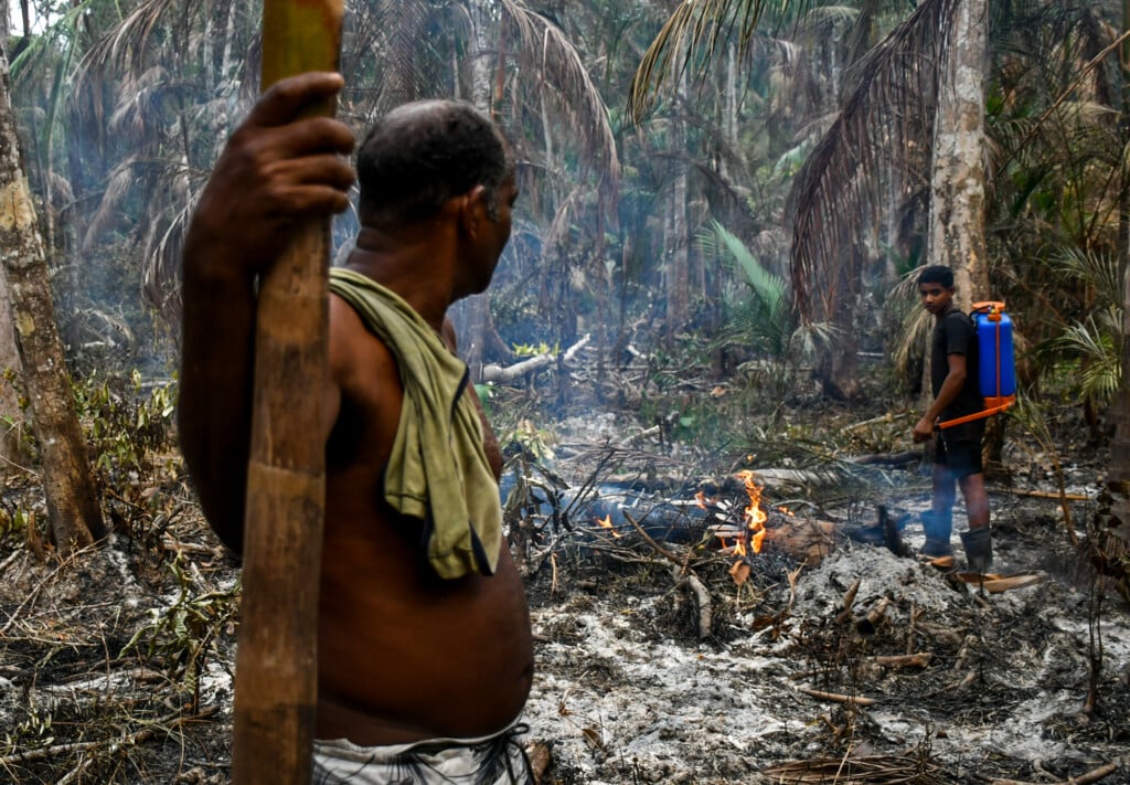 Sem o apoio necessário do poder público, moradores se uniram para tentar conter o fogo (Foto: João Paulo Guimarães)