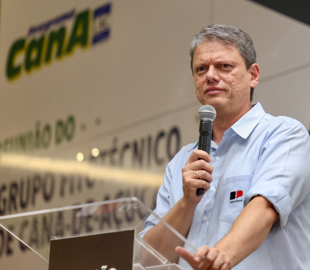 Uma das justificativas de Tarcísio para a série de vendas é que “não dá para ficar se apegando à área, patrimônio" (Foto: Celio Messias/Governo do Estado de SP)