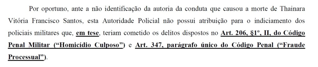 Trecho do relatório final da investigação da Polícia Civil (Foto: Reprodução)