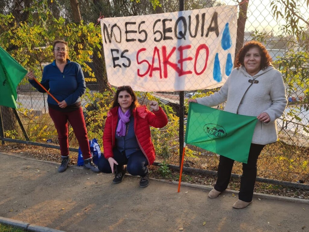 (Foto: Mosacat/Divulgação)
